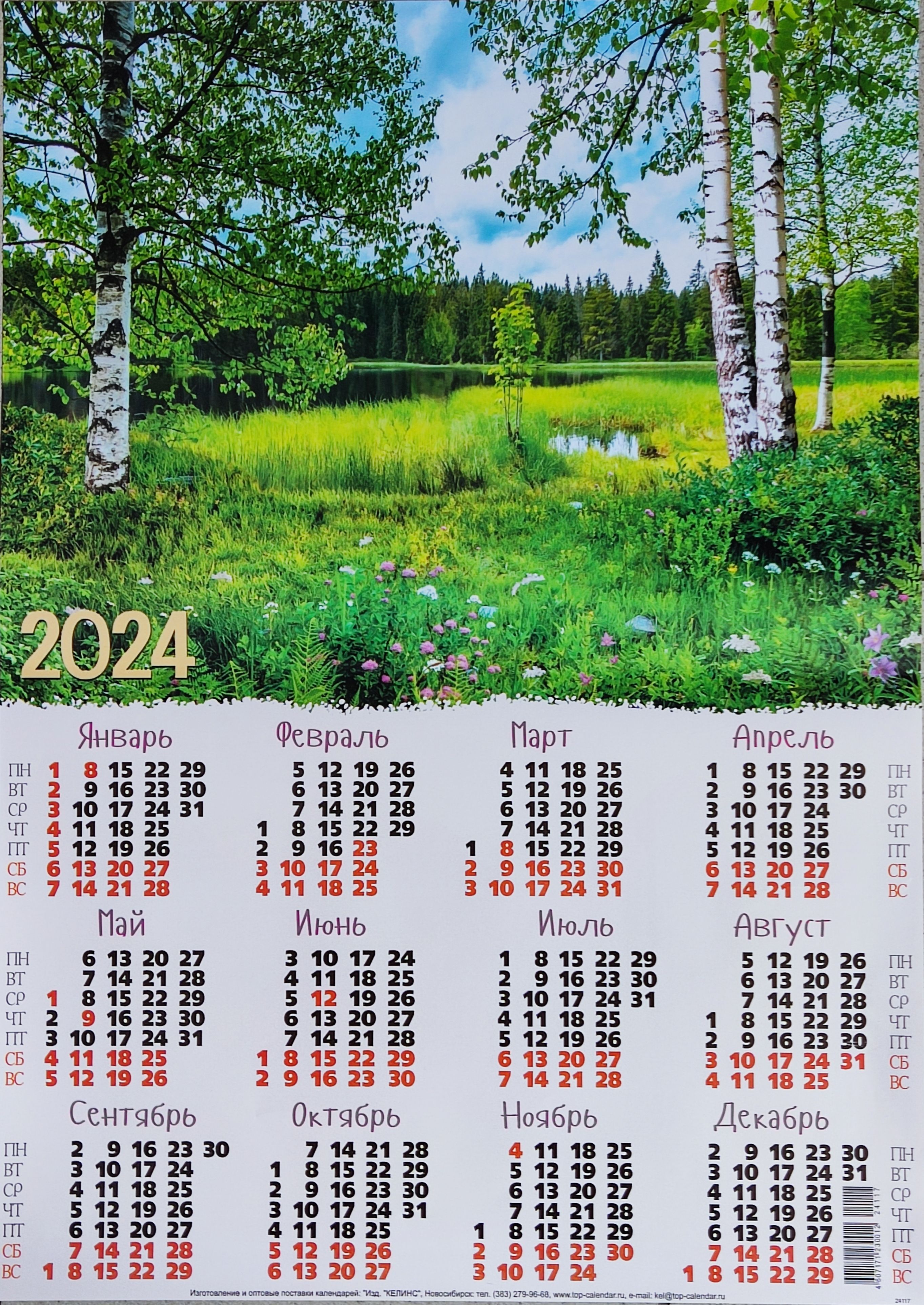 Посади дерево в 2024 году к 90-летию Челябинской области