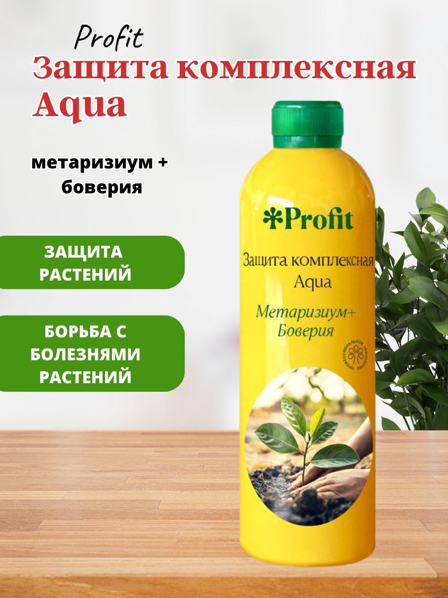 Купить В Спб Препараты Биодсо