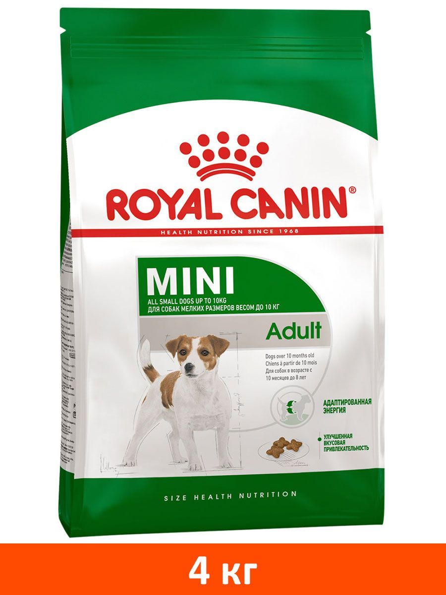 Royal canin для собак x small. Royal canin для собак x small