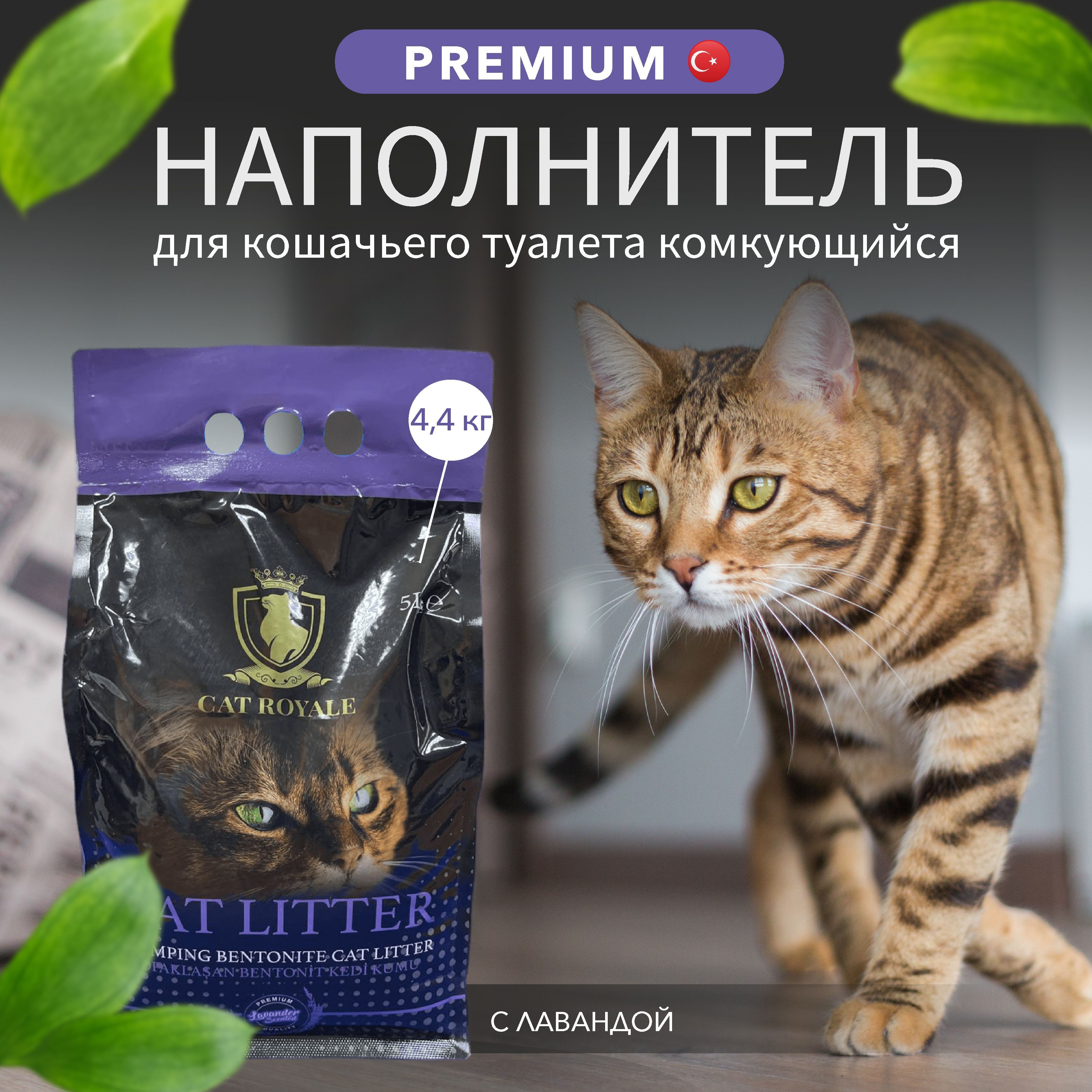 Pro Cat Наполнитель Купить