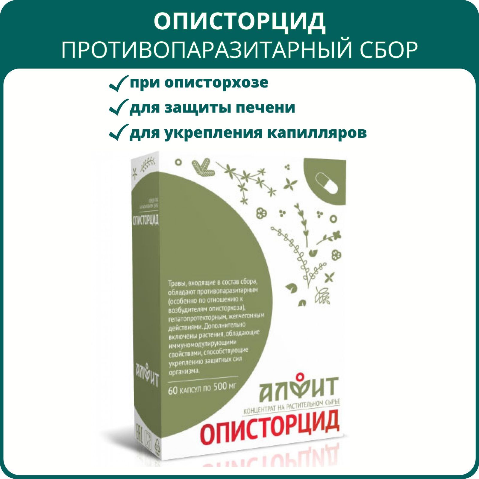 Описторцид, 60 капсул. При описторхозе, для печени, от паразитов,  желчегонный травяной сбор - купить с доставкой по выгодным ценам в  интернет-магазине OZON (708025756)