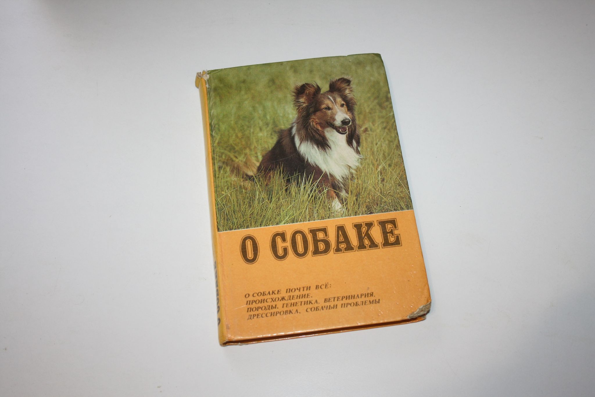 О собаке. О собаке почти все: происхождение, породы, генетика, ветеринария,  дрессировкка, собачьи проблемы