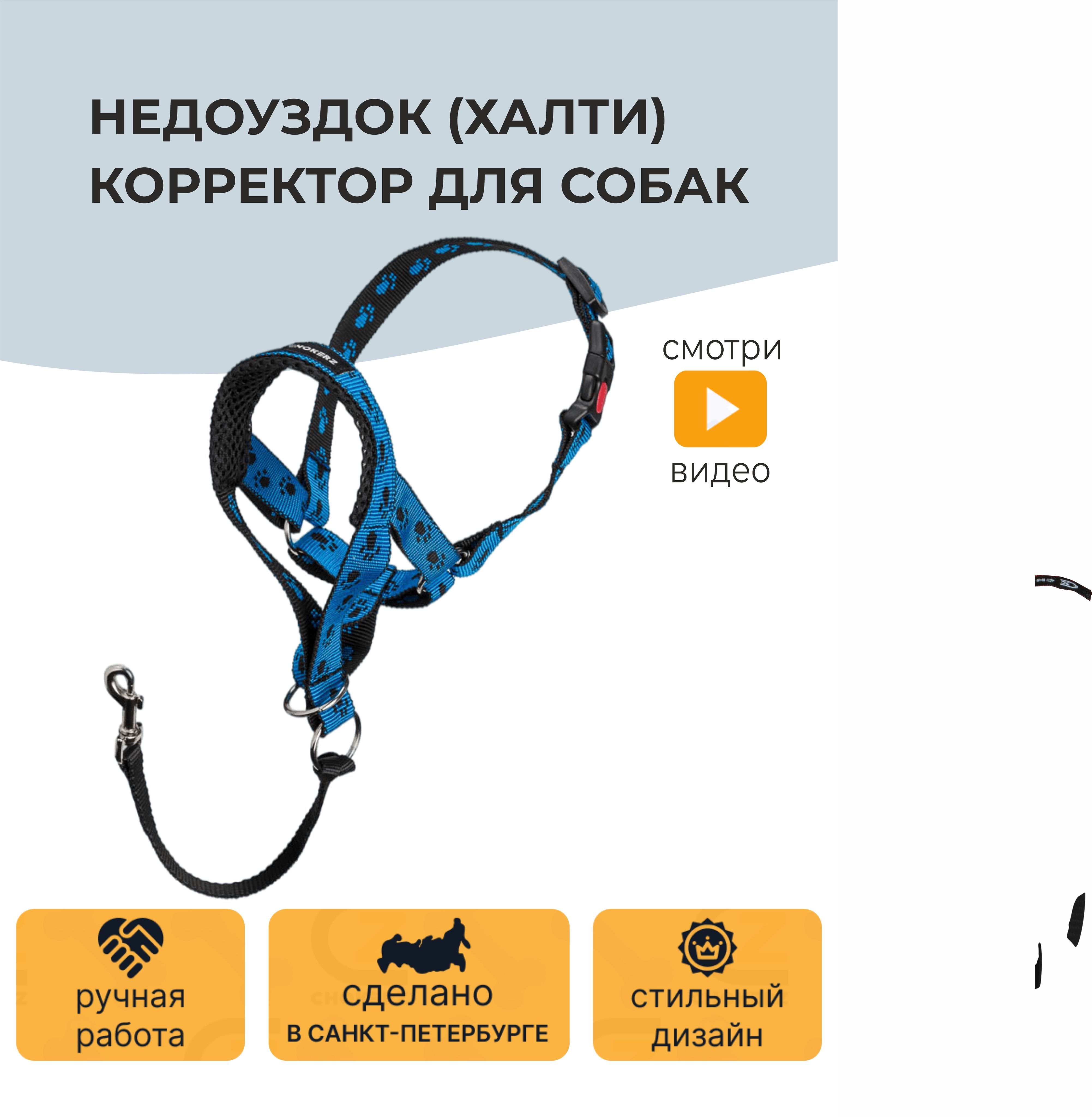 Недоуздок (Халти) корректор для собак CHOKERZ. Обхват морды 24-36 см, шеи -  50-63. - купить с доставкой по выгодным ценам в интернет-магазине OZON  (264447535)