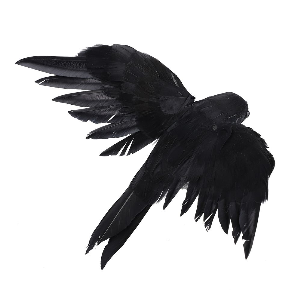 Черные крылатые
