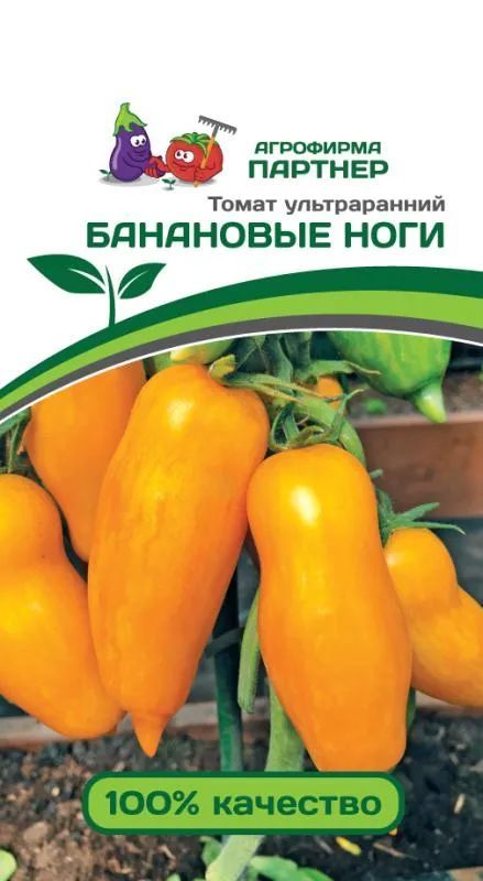 Томаты сорт банановые ноги отзывы фото