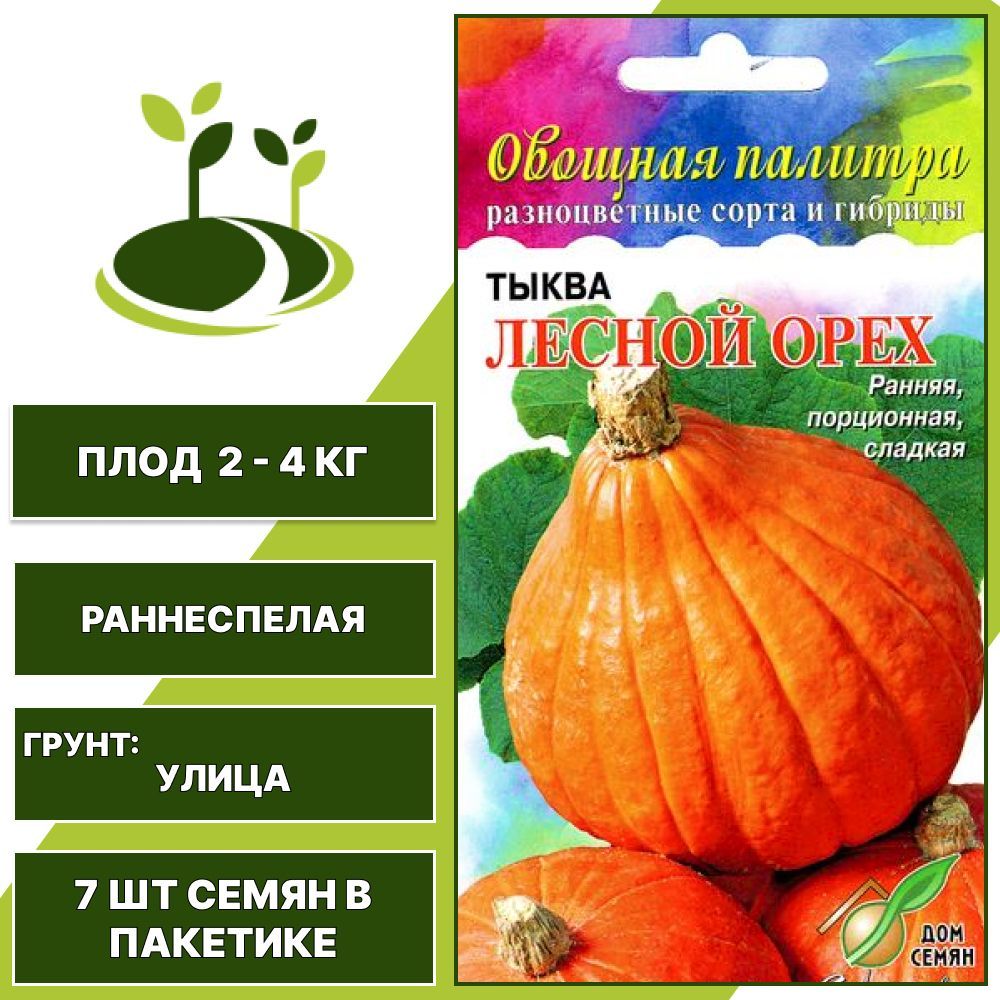 Тыква лесной орех описание сорта. Тыква лесной орех описание сорта