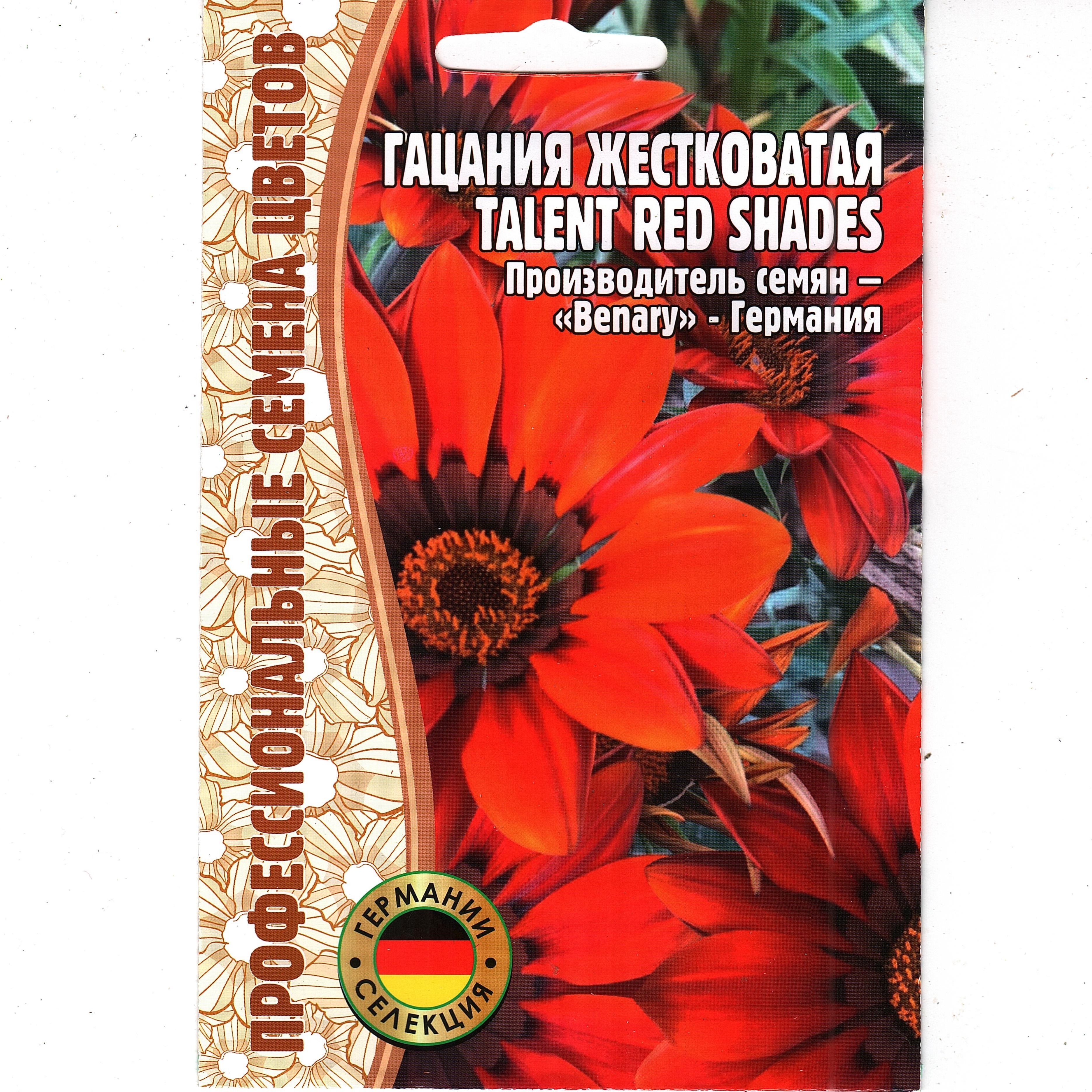 Гацания Жестковатая / Talent red shades ( 1 уп: 5 семян )