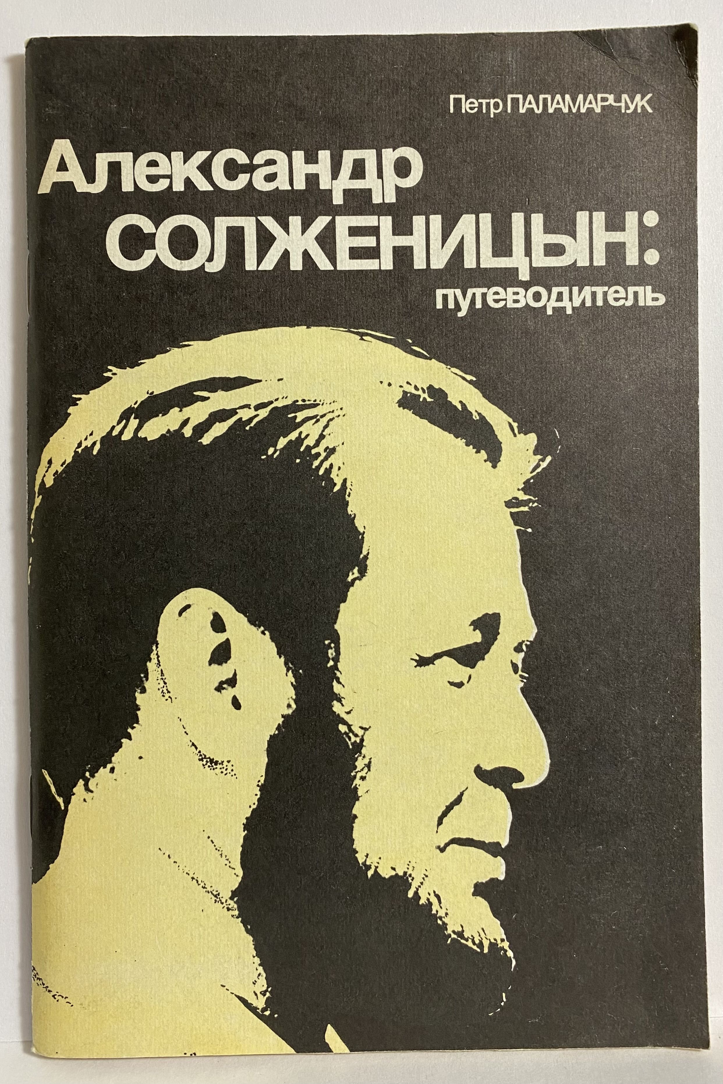 Солженицын русское зарубежье. Солженицын.