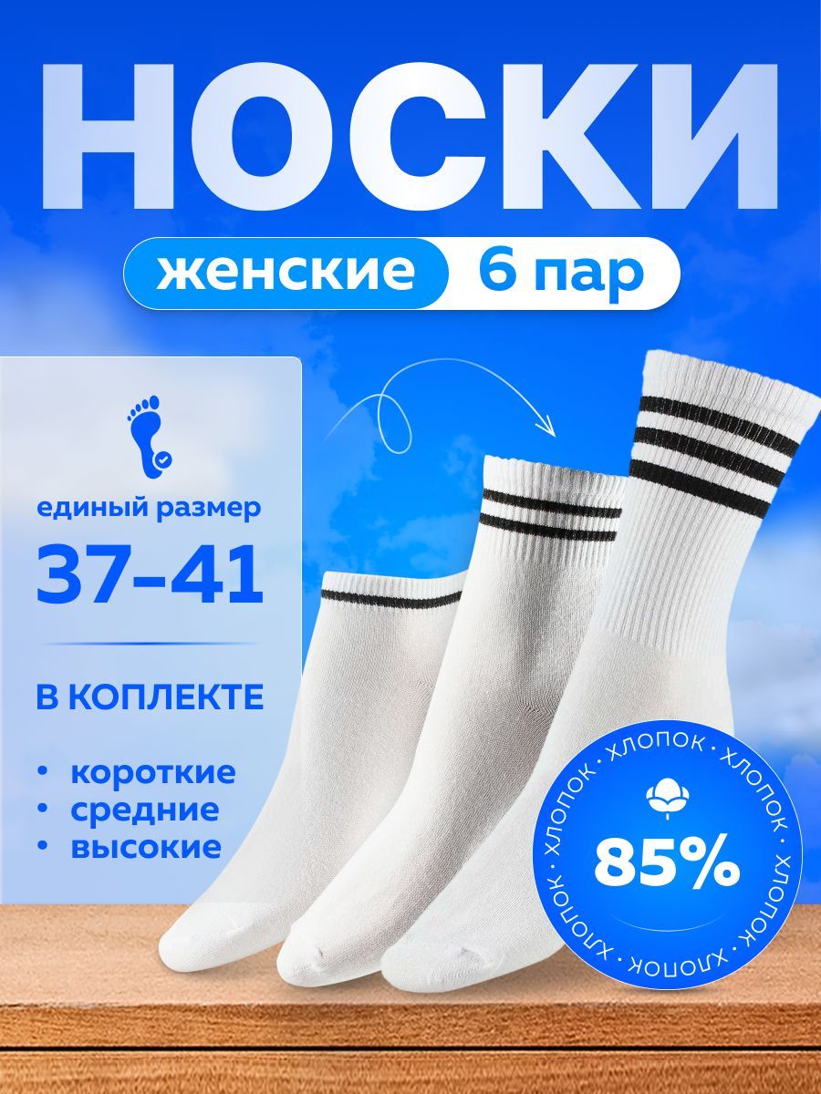 Носки,6пар