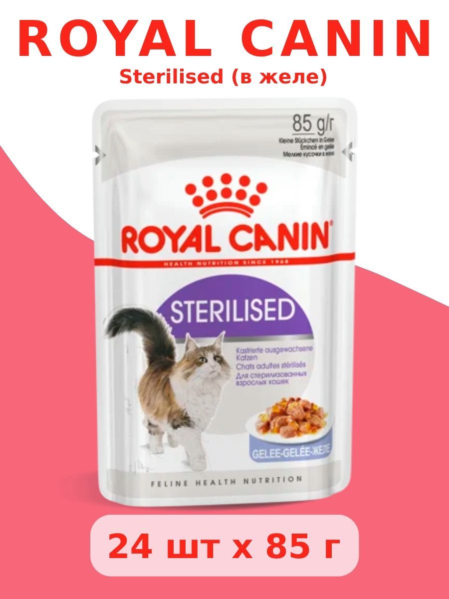 Корм желе для стерилизованных кошек. Royal Canin Sterilised кусочки в желе для стерилизованных кошек 85. Royal Canin Sterilised 10 шт. Х 85 Г (кусочки в желе). Корм для стерилизованных кошек желе. Royal Canin Sterilised корм для стерилизованных кошек, желе 85гр*28шт.
