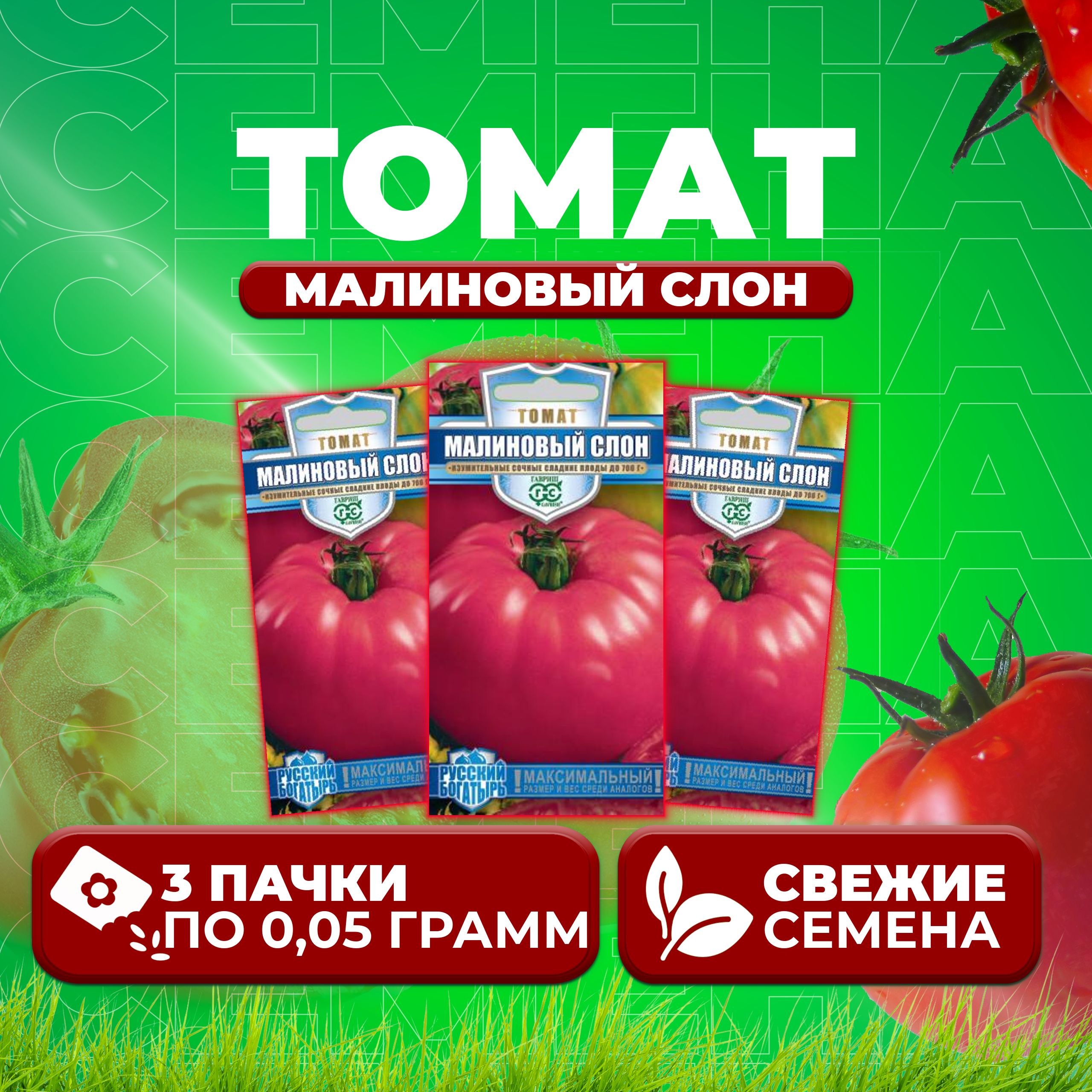 Сорт Томатов Малиновый Слон Отзывы Фото