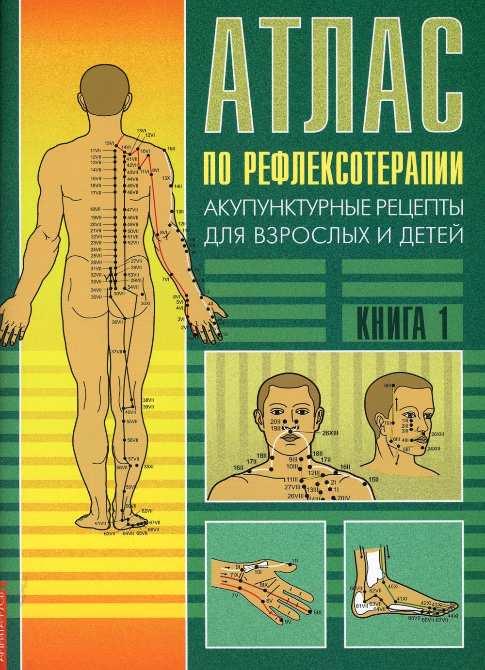 Атлас Акупунктурных Зон Мачерет Купить Книгу