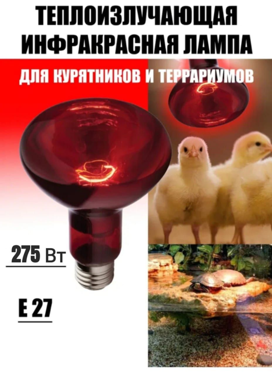 Лампа Красная Для Обогрева Курятника Купить