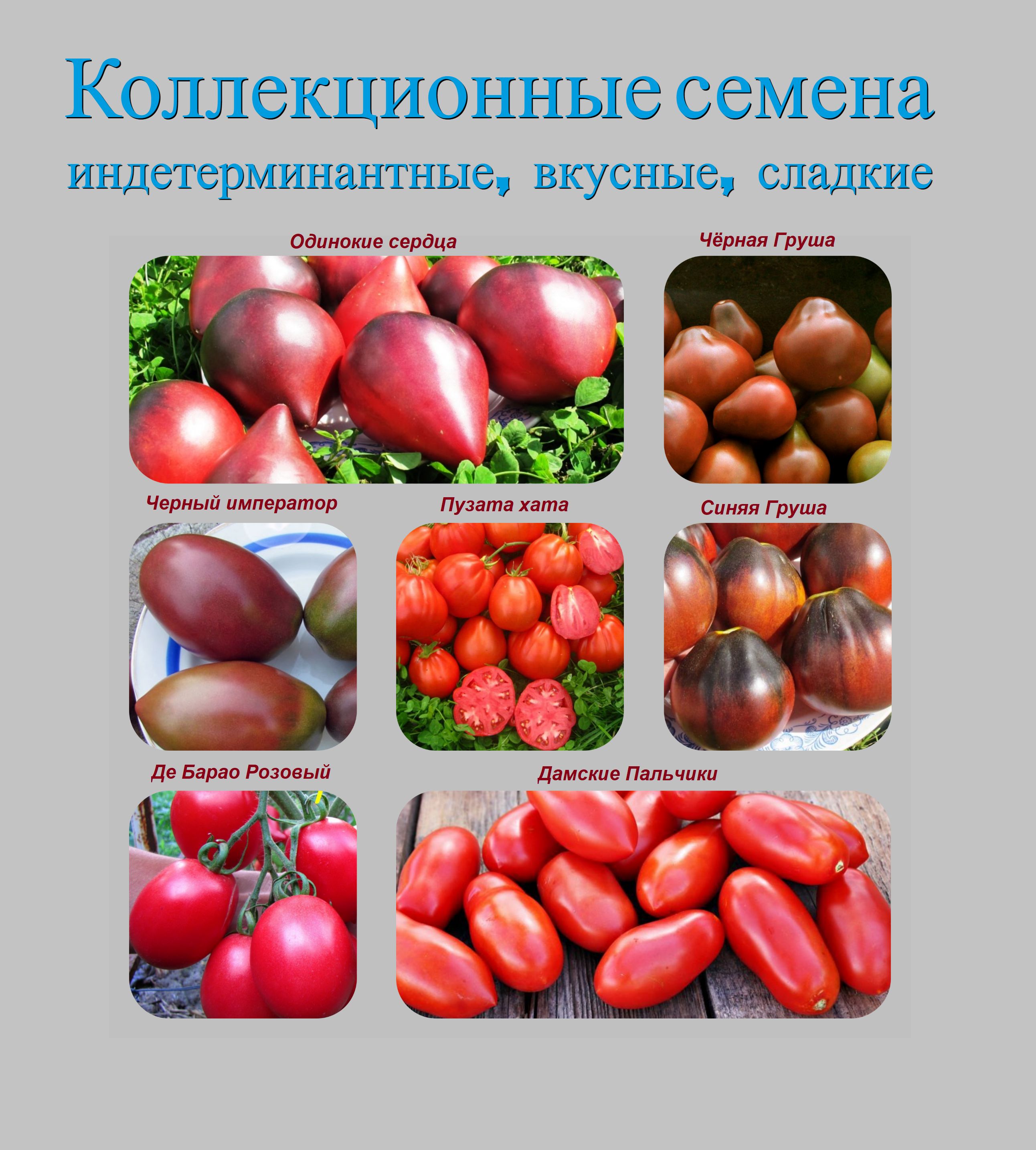 Купить Семена Томатов Розовый Спам