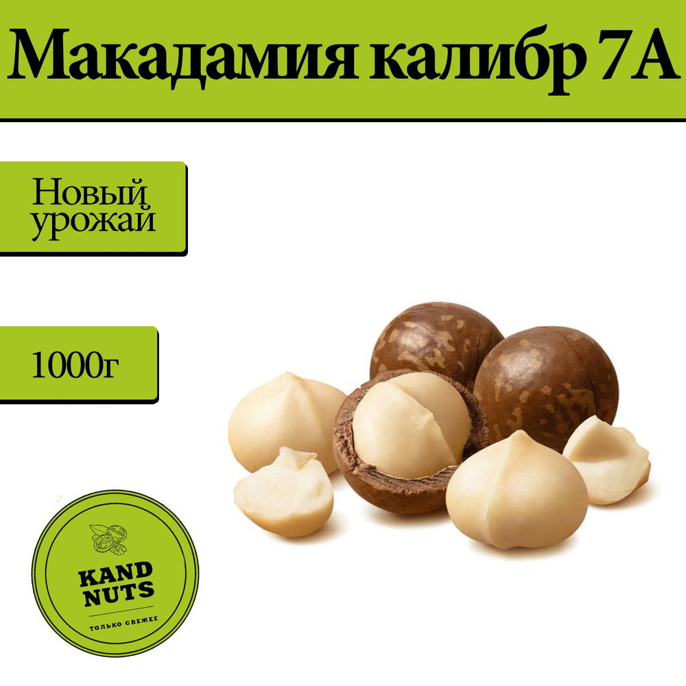 Макадамия, Макадамия 7а крупные орехи с ключом - купить с доставкой по ...