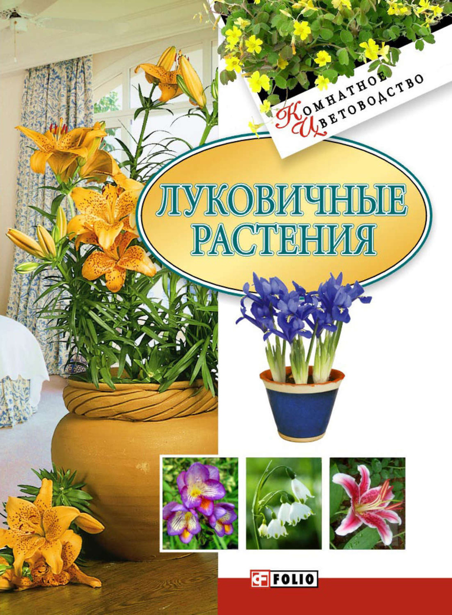 Луковицы Цветов Купить В Интернет Магазине