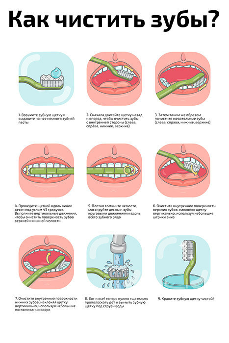 Plakat A2 Kak Pravilno Chistit Zuby Kupit V Internet Magazine Ozon S Bystroj Dostavkoj
