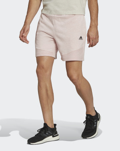 adidas shorts myntra