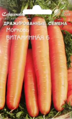 Морковь Витаминная 6: описание и характеристика сорта