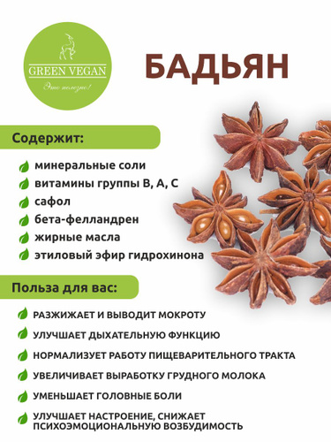 Бадьян растение как выглядит и где растет