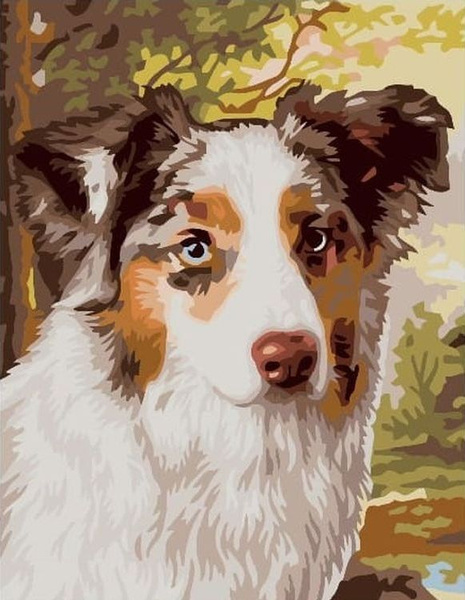 Картина по номерам Paintboy "Взгляд собаки", 30x40 см - купить с ...