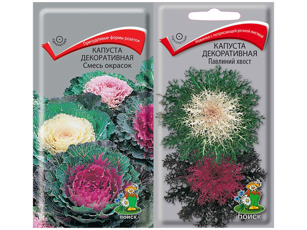 Набор семян цветов однолетников. Капуста декоративная смесь окрасок + Павлиний хвост. 2 упаковки. Агрофирма Поиск