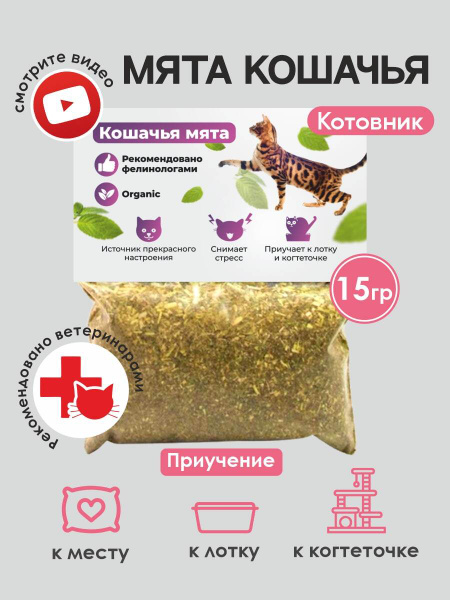 Кошачья мята - трава котовник, лакомство для коррекции поведения ...