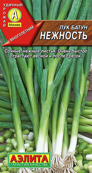 Лук Агрофирма Аэлита лук1 - купить по выгодным ценам в интернет ...