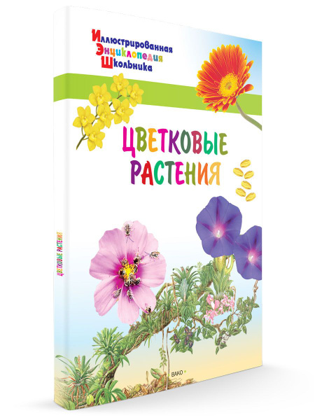 Иллюстрированная энциклопедия школьника. Цветковые растения | Орехов А ...
