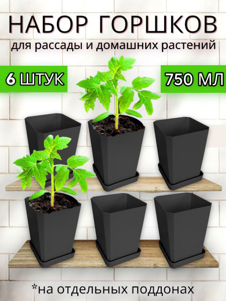 Горшки для рассады Пеликан, горшок для цветов для рассады, 6 шт по 750 ...