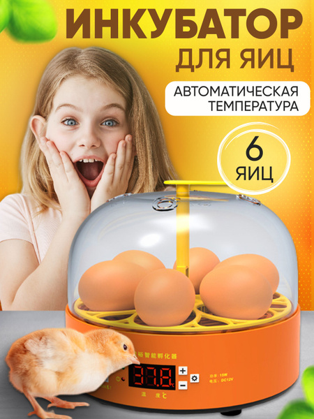 Инкубатор несушка для 6 яиц автоматический - купить с доставкой по ...