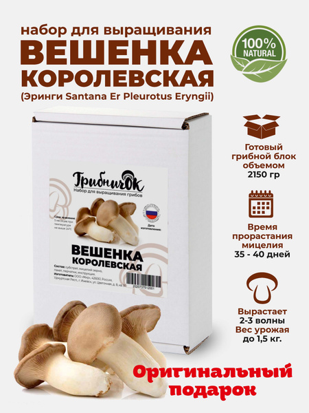 Набор для выращивания Грибничок, Вешенки, Однолетник купить по выгодной ...