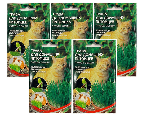 Различные травы, Лекарственные травы Дом семян для животных - купить по ...