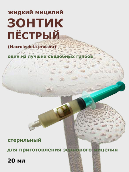 Жидкий мицелий грибов Зонтик пёстрый 20 мл. - купить по выгодным ценам ...