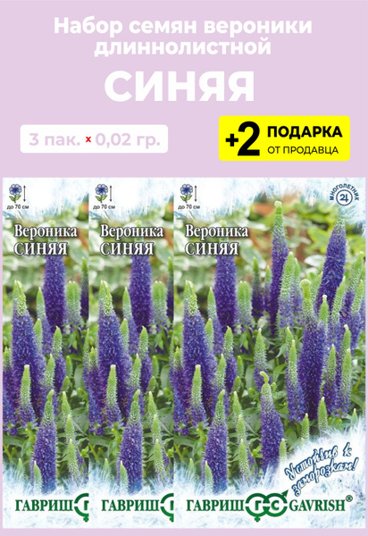 Вероника Проверенные семена Вероника1_зеленый - купить по выгодным ...