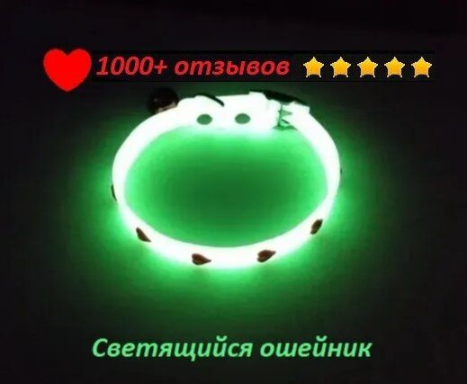 Ошейник светящийся для КОШЕК И СОБАК мелких пород (Collar for Pets ...