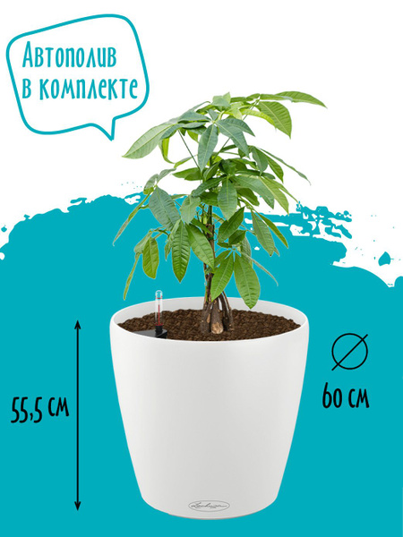 Кашпо для цветов напольное высокое с автополивом уличное Lechuza ...