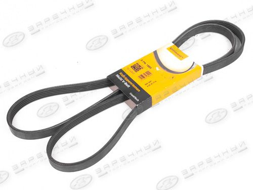 Ремень Ручейковый CONTITECH 5PK1885 - ContiTech арт. 5PK1885 - купить ...