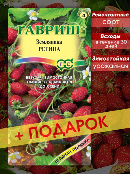 Земляника регина описание сорта фото отзывы Семена Семена Алтая ягода земляника Регина ремонтантная 0.04 г купить по цене 25