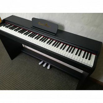 Пианино цифровое EMILY PIANO D-51 BK - купить с доставкой по выгодным ...