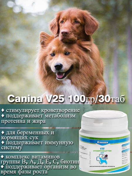 Витамины для взрослых собак всех пород Canina V25, для блестящей шерсти ...
