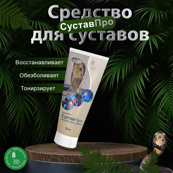Сустав Про гель-крем лечебный для суставов и мышц - купить с доставкой ...