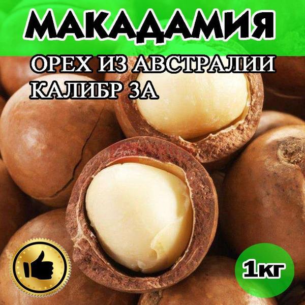 Макадамия, Макадамия орех, 1кг, калибр 3А с ключом купить на OZON по ...
