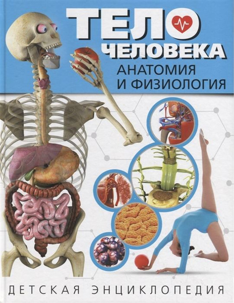 Тело человека. Анатомия и физиология. Детская энциклопедия - купить с ...