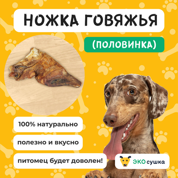 Нога говяжья (половинка) кость для собак и кошек сушеное "Экосушка ...