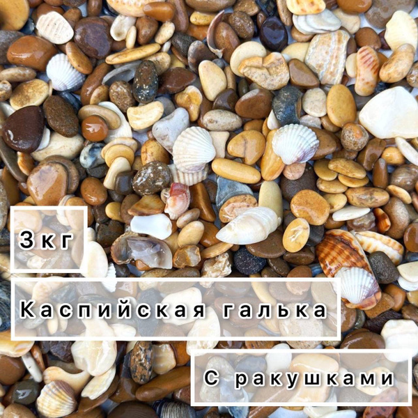 Грунт Каспийский с ракушками 3кг 5-20мм (M) галтованный / Грунт для ...