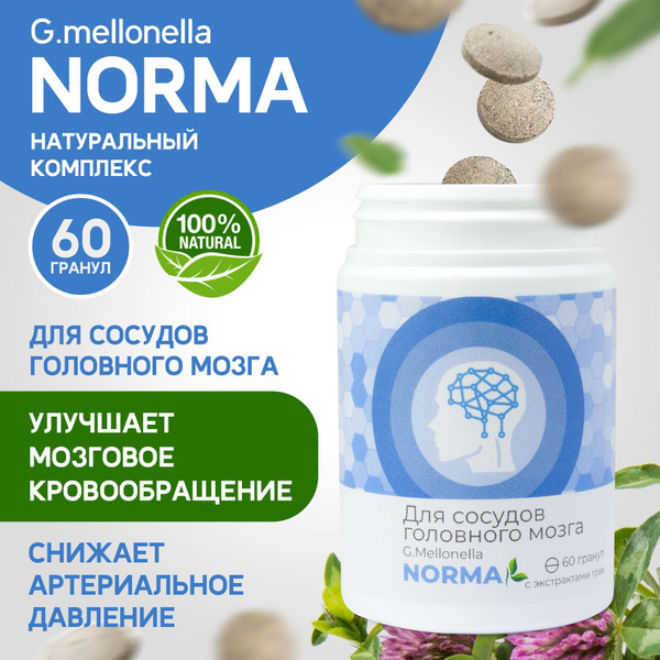 Огневка Норма для сосудов головного мозга, от давления, венотоник 60 ...