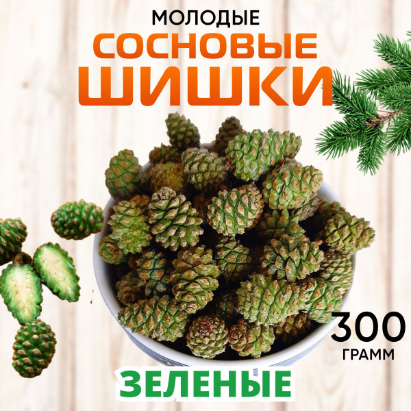 Сосновая шишка молодая для чая настоев варенья Шишка зеленая сосновая ...