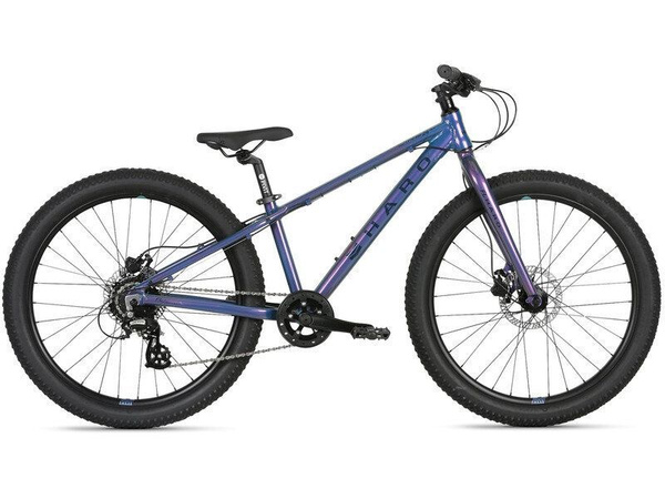 Велосипед подростковый Haro Flightline 24" Plus DS (Disc) 2023 ...