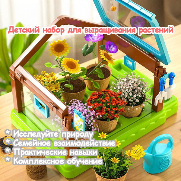 Набор для выращивания растений для детей, включающий семена, горшки для ...